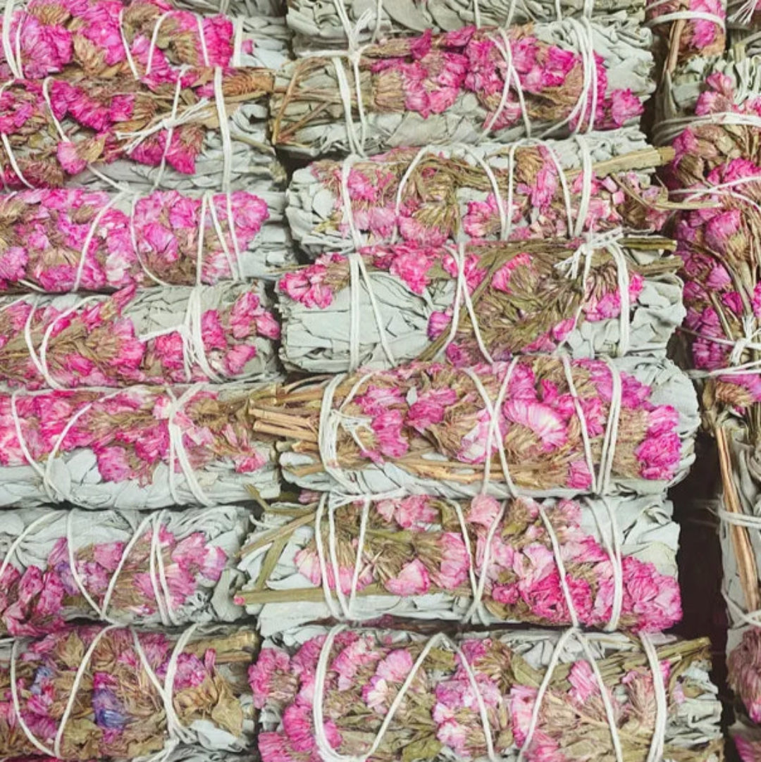 Sinuata + White Sage 4 Inch