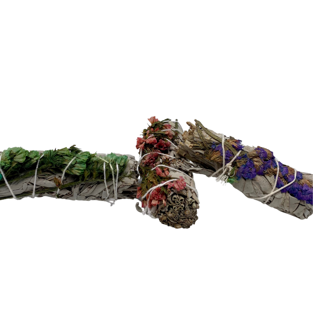 Sinuata + White Sage 4 Inch