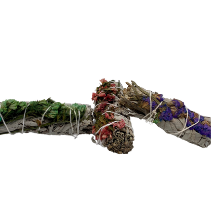 Sinuata + White Sage 4 Inch