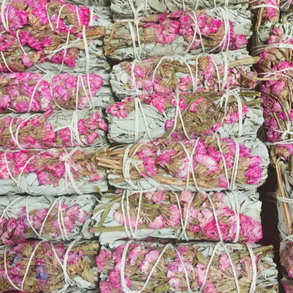 Sinuata + White Sage 4 Inch