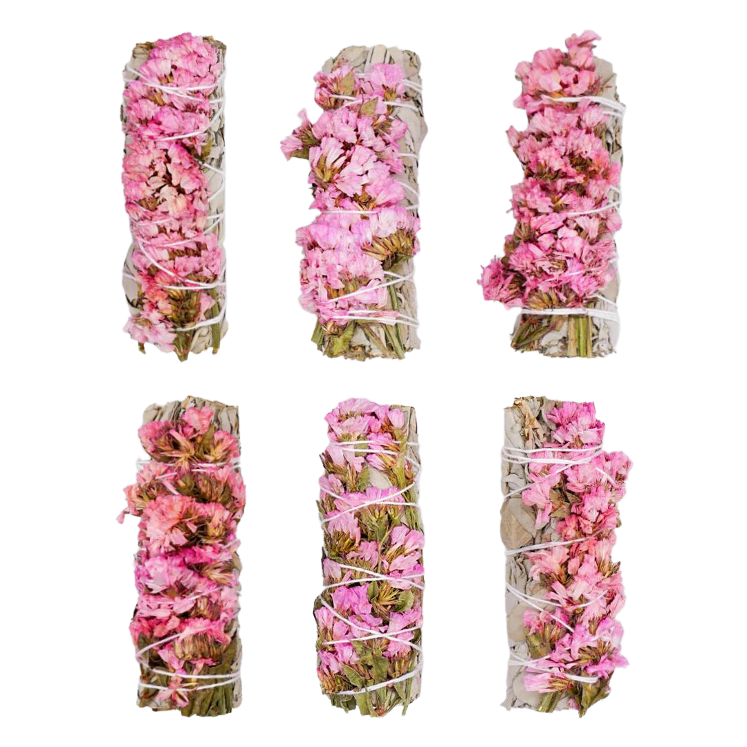 Sinuata + White Sage 4 Inch