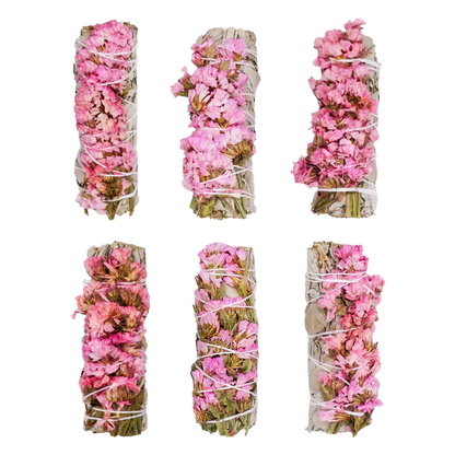 Sinuata + White Sage 4 Inch