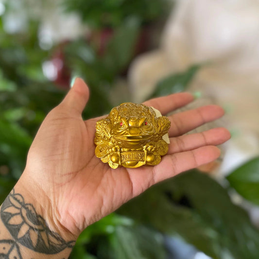 Feng Shui Money Frog