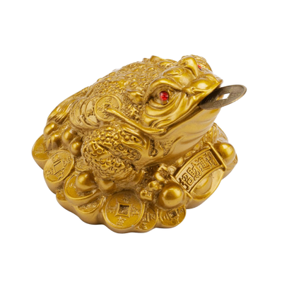 Feng Shui Money Frog